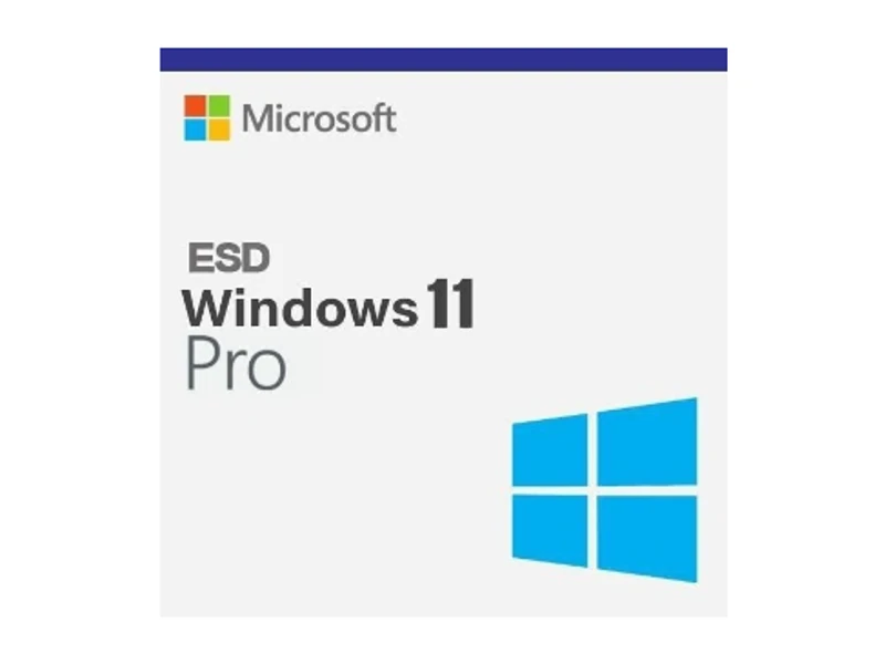 Microsoft Windows 11 Pro 32/64-bit TR/ENG ESD